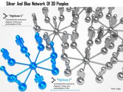 0115 silver and blue network of 3d peoples ppt graphics icons