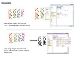 0214 study the human dna structure ppt graphics icons powerpoint