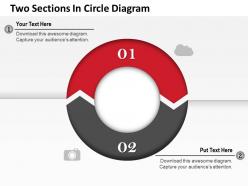 0314 business ppt diagram two sections in circle diagram powerpoint template