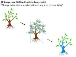 0414 tree powerpoint presentation