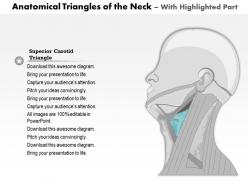 49386428 style medical 1 musculoskeletal 1 piece powerpoint presentation diagram template slide