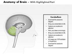 0514 anatomy of brain medical images for powerpoint