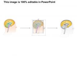 0514 anatomy of brain medical images for powerpoint