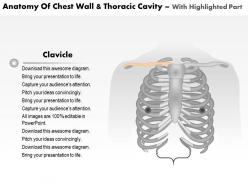 0514 anatomy of chest wall and thoracic cavity medical images for powerpoint