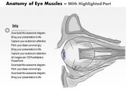 0514 anatomy of eye muscles medical images for powerpoint