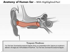 0514 anatomy of human ear medical images for powerpoint