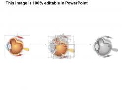0514 anatomy of human eye medical images for powerpoint