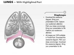 0514 anatomy of human lungs medical images for powerpoint