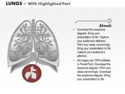 0514 anatomy of human lungs medical images for powerpoint