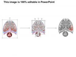 0514 anatomy of human lungs medical images for powerpoint