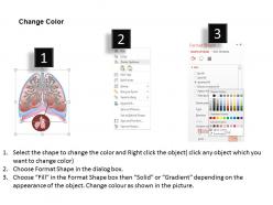 0514 anatomy of human lungs medical images for powerpoint