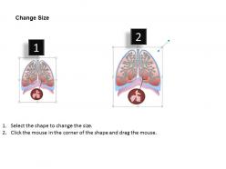0514 anatomy of human lungs medical images for powerpoint