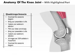 0514 anatomy of knee joint medical images for powerpoint