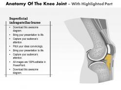 0514 anatomy of knee joint medical images for powerpoint