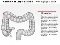0514 anatomy of large intestine medical images for powerpoint