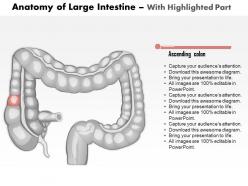 0514 anatomy of large intestine medical images for powerpoint
