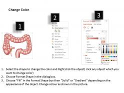 83685393 style medical 1 digestive 1 piece powerpoint presentation diagram infographic slide