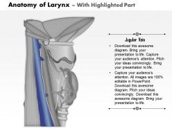 0514 anatomy of larynx medical images for powerpoint