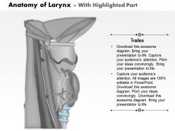 0514 anatomy of larynx medical images for powerpoint