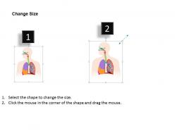 0514 anatomy of respiratory system medical images for powerpoint