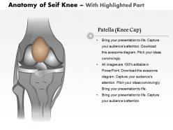 0514 anatomy of seif knee medical images for powerpoint