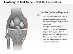 0514 anatomy of seif knee medical images for powerpoint