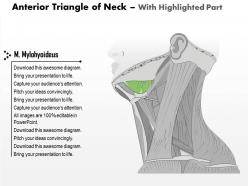 0514 anterior triangle of neck medical images for powerpoint