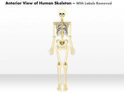 41267913 style medical 1 musculoskeletal 1 piece powerpoint presentation diagram infographic slide