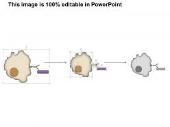 54310482 style medical 2 immune 1 piece powerpoint presentation diagram infographic slide