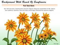 0514 background with bunch of sunflowers Image Graphics for PowerPoint
