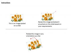 0514 background with bunch of sunflowers image graphics for powerpoint