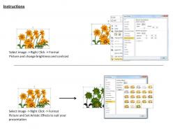 0514 background with bunch of sunflowers image graphics for powerpoint