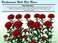 0514 background with red roses Image Graphics for PowerPoint