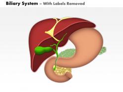 0514 biliary system medical images for powerpoint