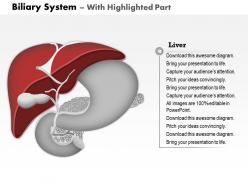 31705636 style medical 1 digestive 1 piece powerpoint presentation diagram infographic slide