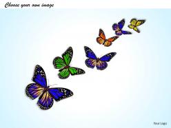 0514 butterflies natures beautiful gift image graphics for powerpoint