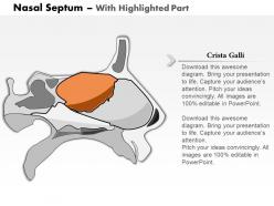 0514 cartilaginous and bony structures of nasal septum medical images for powerpoint