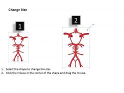 60517820 style medical 1 nervous 1 piece powerpoint presentation diagram infographic slide