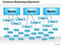 0514 common marketing objectives powerpoint presentation