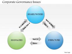 0514 corporate governance issues powerpoint presentation