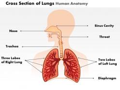 5061384 style medical 1 respiratory 1 piece powerpoint presentation diagram infographic slide