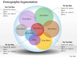 0514 demographic segmentation powerpoint presentation