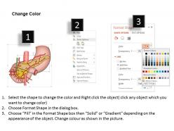 71070907 style medical 1 digestive 1 piece powerpoint presentation diagram template slide