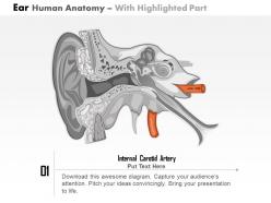 0514 ear human anatomy medical images for powerpoint