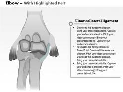 0514 elbow anterior view medical images for powerpoint
