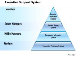 0514 executive support system powerpoint presentation