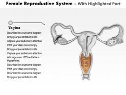 65106960 style medical 2 reproductive 1 piece powerpoint presentation diagram infographic slide