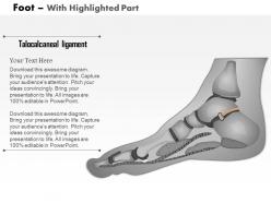 0514 foot plantar view medical images for powerpoint