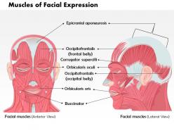0514 front and side views of the muscles of facial expressions medical images for powerpoint