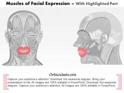 0514 front and side views of the muscles of facial expressions medical images for powerpoint